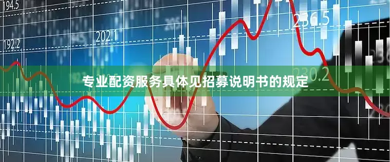 专业配资服务具体见招募说明书的规定