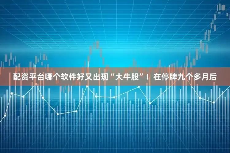 配资平台哪个软件好又出现“大牛股”！　　在停牌九个多月后